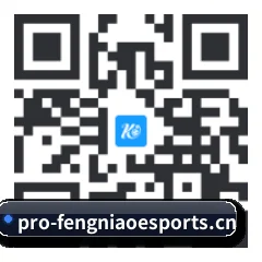 系统版 iOS 二维码