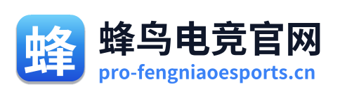 蜂鸟电竞官网 Logo